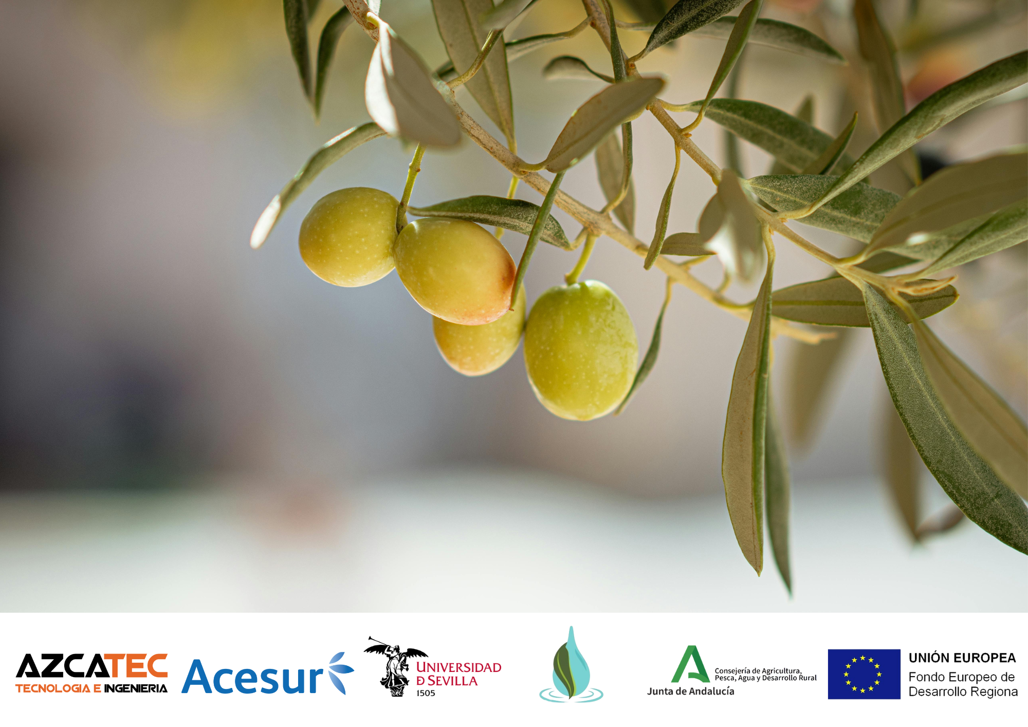 PROYECTO VALORORIZACIÓN FERTILIZANTES Revalorización subproducto residual de fabricación de fertilizantes (5)