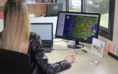 Evaluación ambiental en proyectos de ingeniería