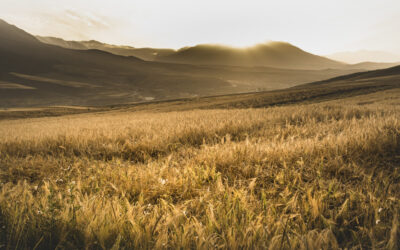 Andalucía: El mayor ecosistema europeo de generación de biogás y biometano