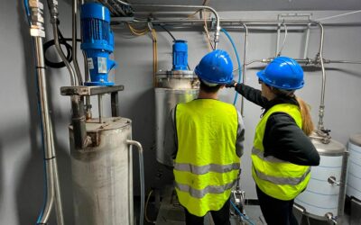 ¿Qué es una planta piloto y por qué es clave en la innovación industrial?