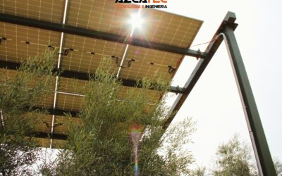 AZCATEC y el proyecto GO Agrovoltaica frente a la nueva convocatoria RENOINN 2 del IDAE