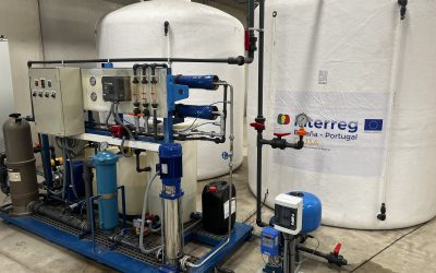La Planta Piloto: La Herramienta Indispensable para un Escalado Industrial Exitoso