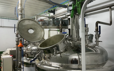 Problemas en el Escalado de Procesos: De la Escala de Laboratorio a la Planta Piloto