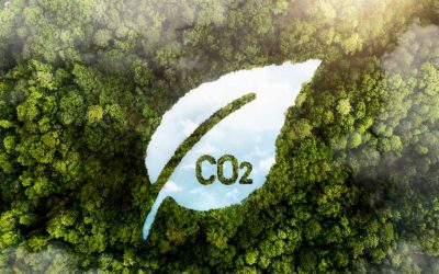 ¿Por qué el hidrógeno verde y amoníaco son los combustibles del futuro?